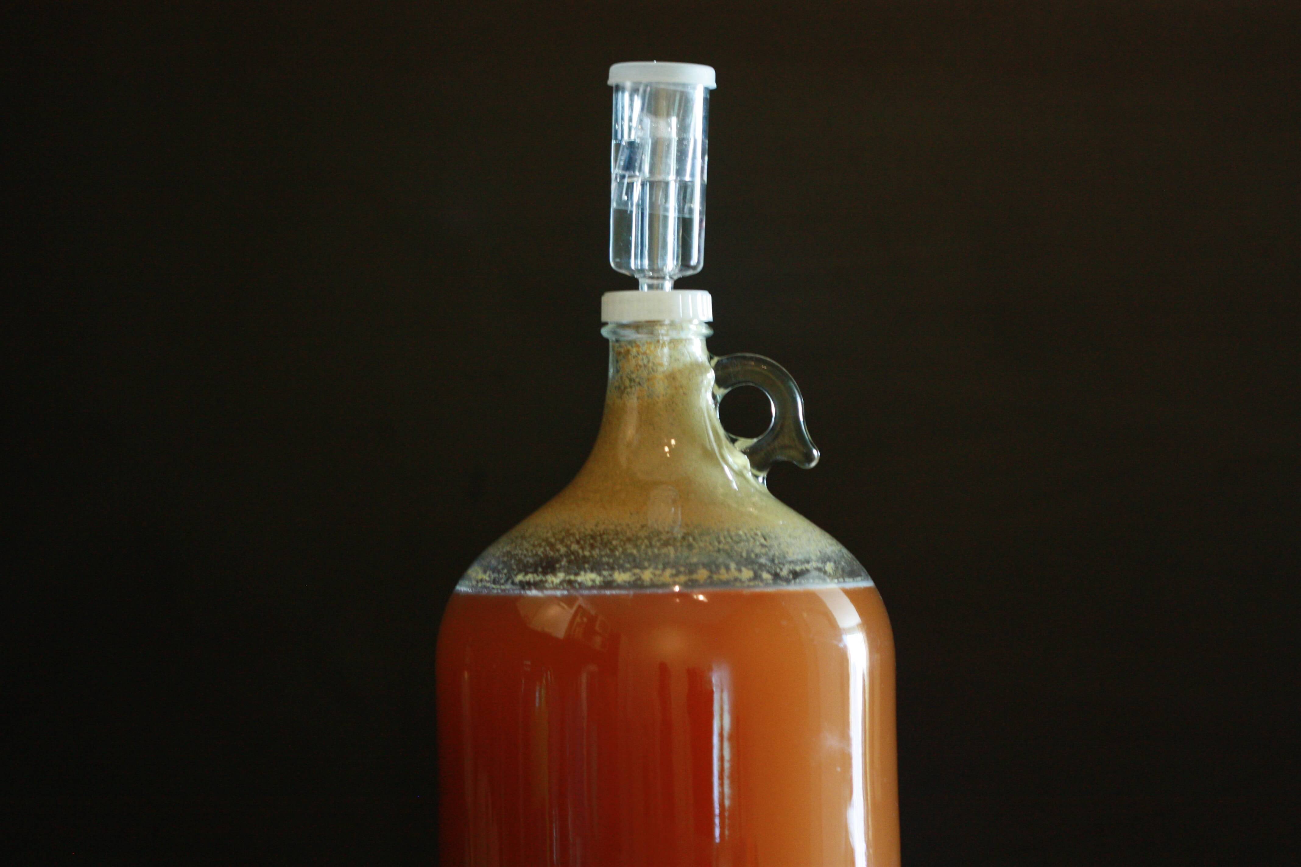 How to become a homebrewer: learn brewing beer yourself