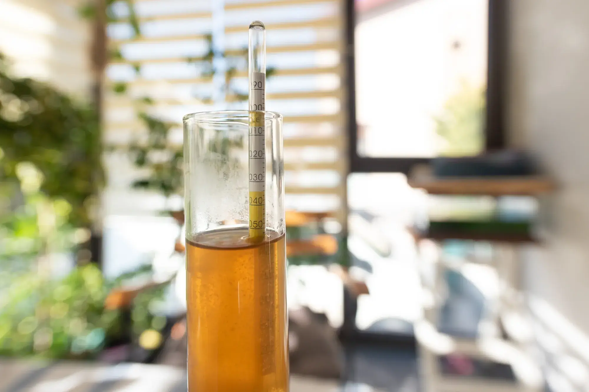 Measuring the specific gravity with a hydrometer