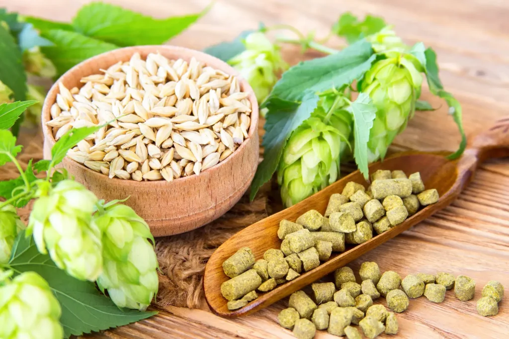 The four essential ingredients of beer