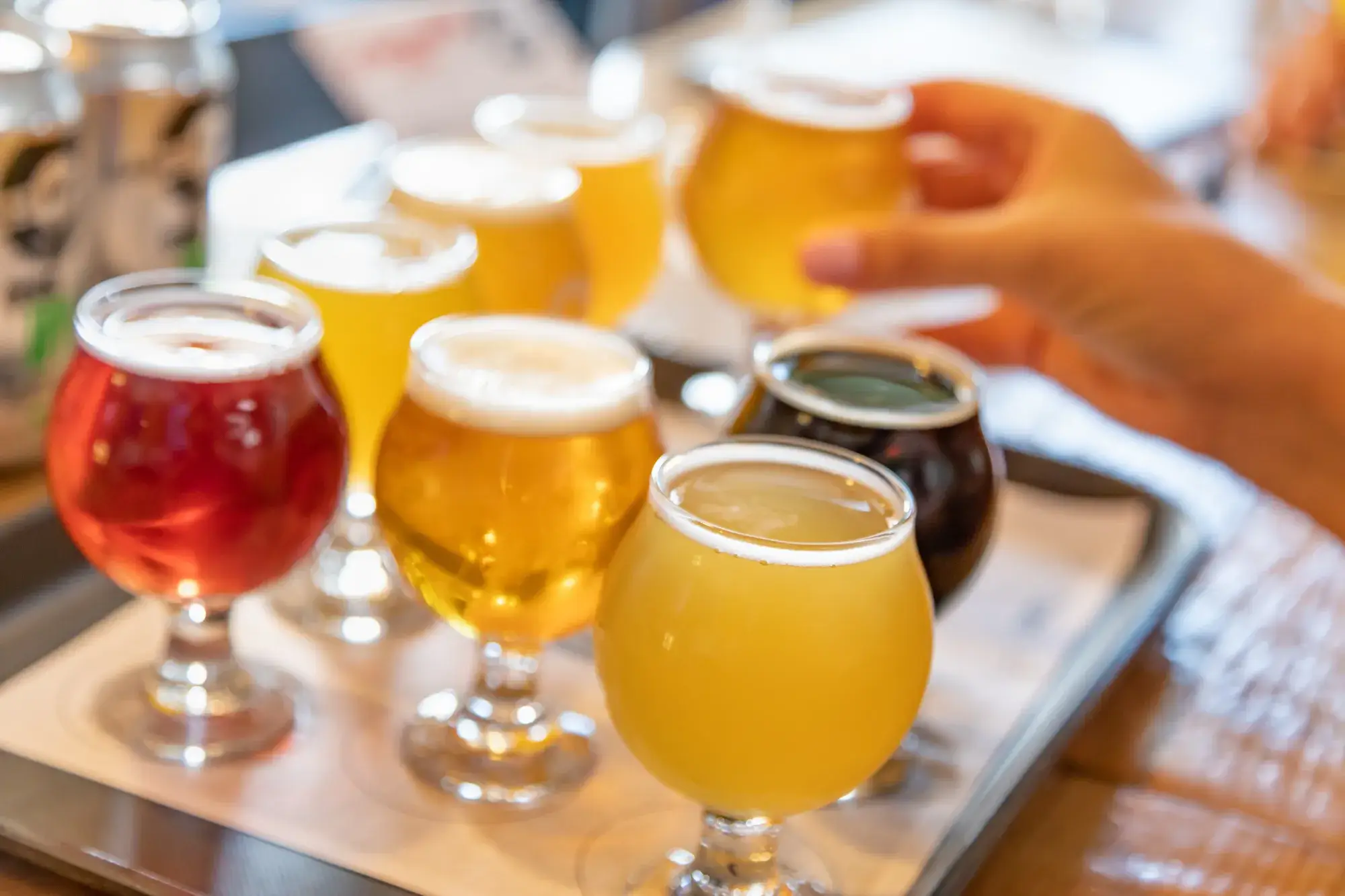 Organize a beer tasting: tips and tricks