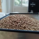 Crushing malt for brewing beer