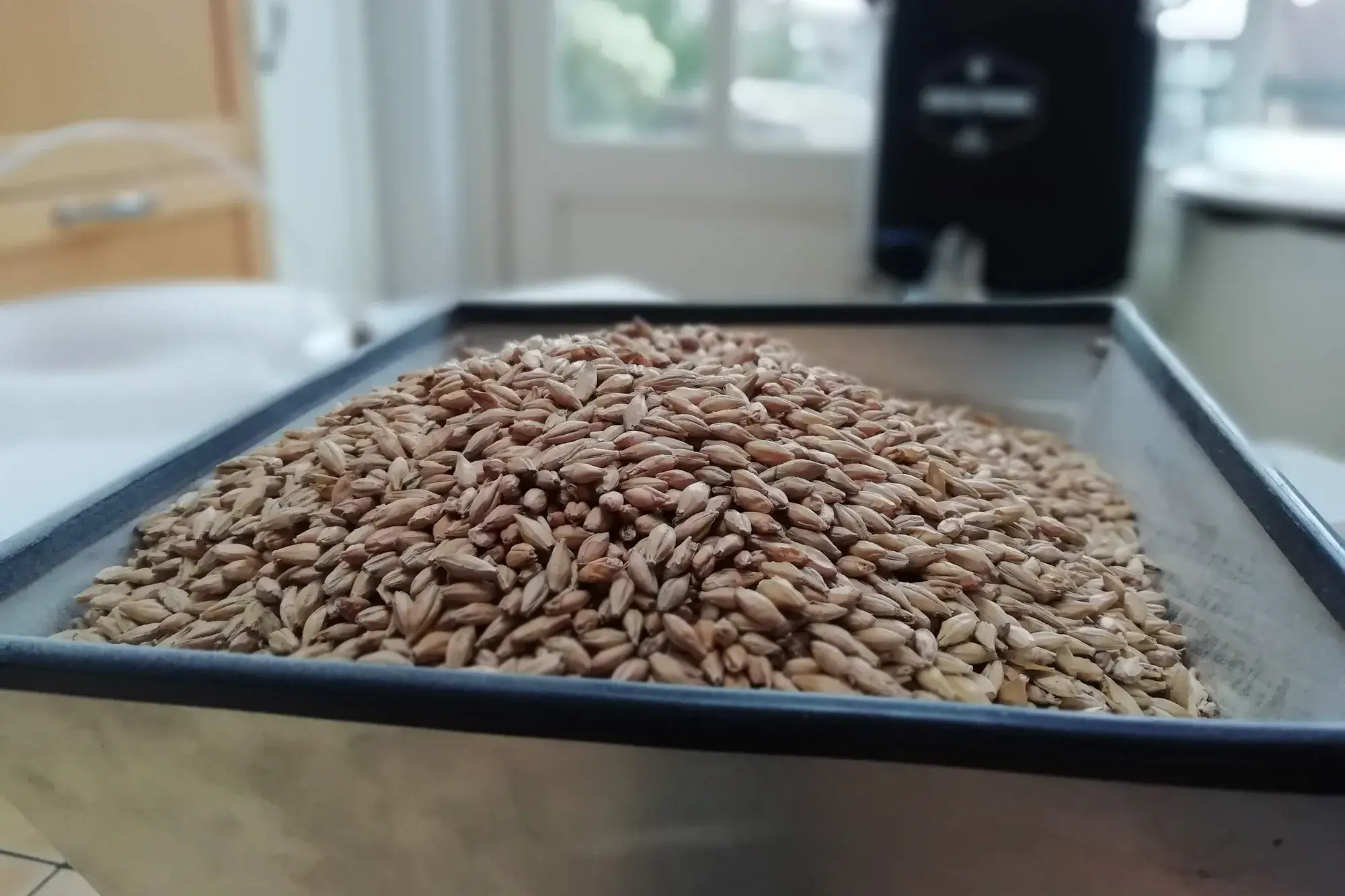 Mastering the art of malt crushing for brewing beer